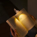 Flexible LED Clip-On Reading Light with Gooseneck